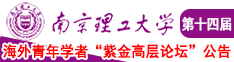 啊啊啊鸡吧好大视频南京理工大学第十四届海外青年学者紫金论坛诚邀海内外英才！